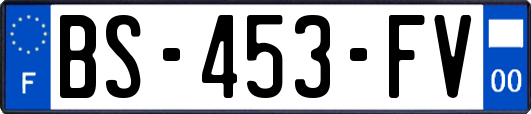 BS-453-FV