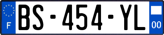 BS-454-YL