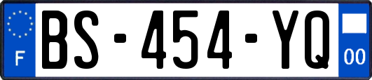 BS-454-YQ