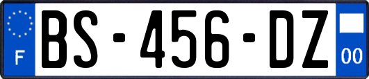 BS-456-DZ