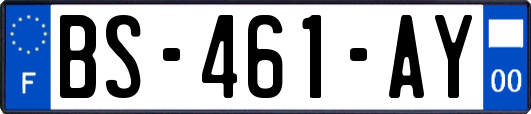 BS-461-AY