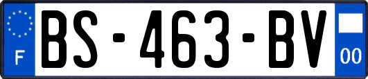 BS-463-BV