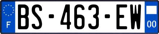 BS-463-EW