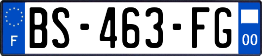 BS-463-FG