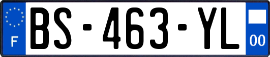 BS-463-YL