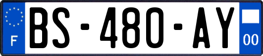 BS-480-AY