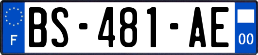 BS-481-AE