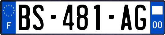 BS-481-AG