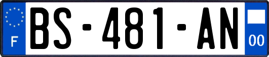 BS-481-AN