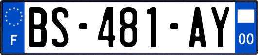 BS-481-AY