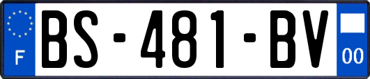 BS-481-BV
