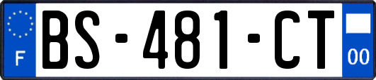 BS-481-CT