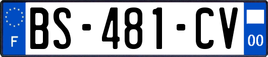 BS-481-CV