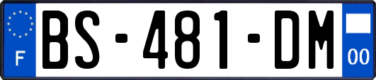BS-481-DM