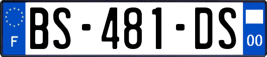 BS-481-DS