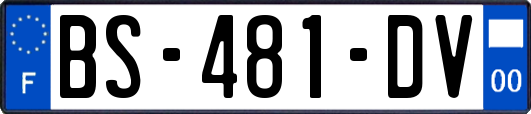 BS-481-DV