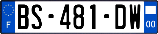 BS-481-DW