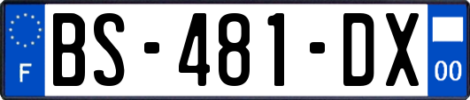 BS-481-DX