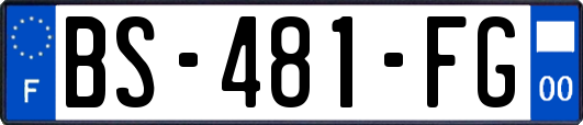 BS-481-FG