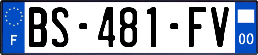 BS-481-FV
