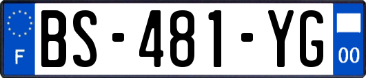 BS-481-YG