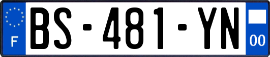 BS-481-YN