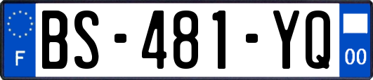 BS-481-YQ
