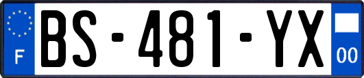 BS-481-YX