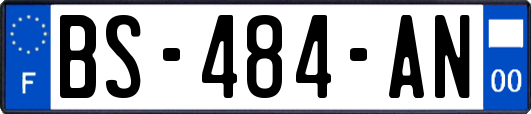 BS-484-AN