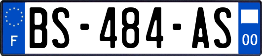 BS-484-AS