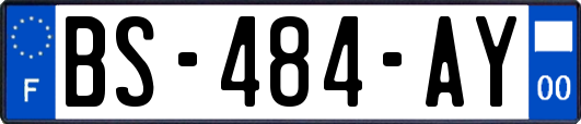 BS-484-AY