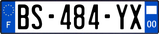 BS-484-YX