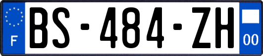 BS-484-ZH
