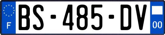 BS-485-DV