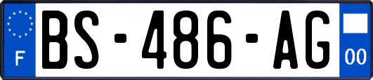 BS-486-AG