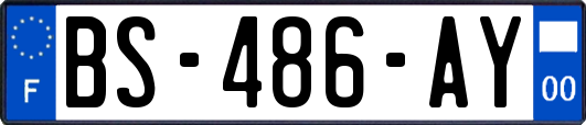 BS-486-AY