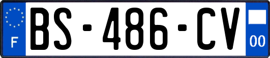 BS-486-CV