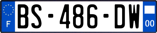 BS-486-DW