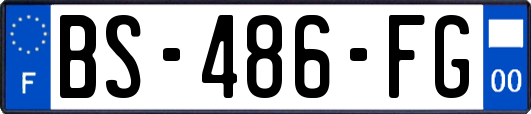 BS-486-FG