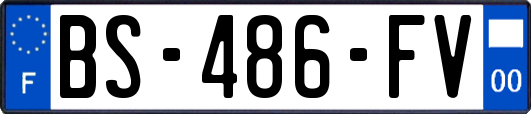 BS-486-FV