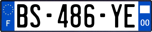 BS-486-YE