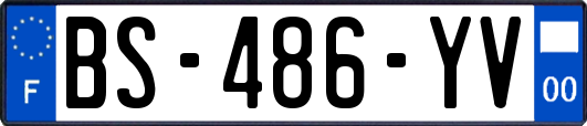 BS-486-YV