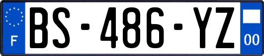 BS-486-YZ