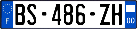 BS-486-ZH