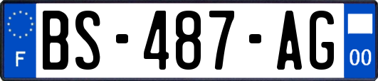 BS-487-AG