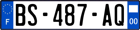 BS-487-AQ