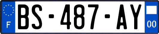 BS-487-AY