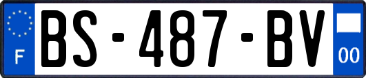 BS-487-BV