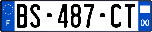 BS-487-CT