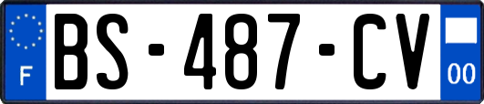 BS-487-CV
